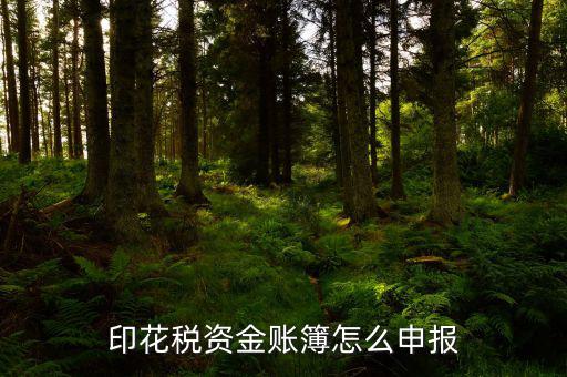 賬簿印花稅申報(bào)選什么，賬簿印花稅如何申報(bào)