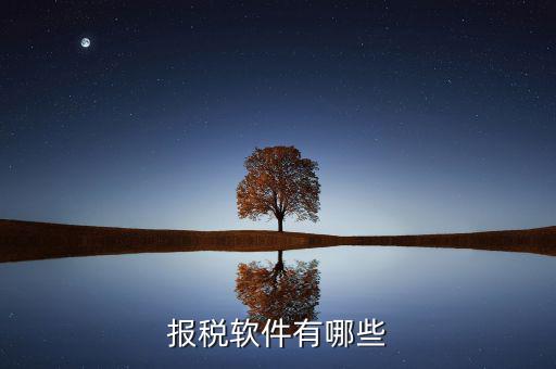 蘇州報稅用什么軟件，蘇州工業(yè)園區(qū)使用什么電子報稅系統(tǒng)