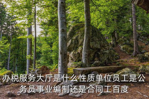 什么是辦稅服務(wù)大廳，辦稅服務(wù)廳的基本服務(wù)包括哪些