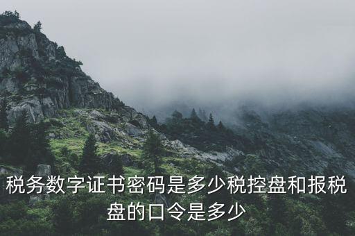 國稅申報ca默認(rèn)密碼是什么意思，國家稅務(wù)總局網(wǎng)上辦稅服務(wù)廳初始密碼是什么