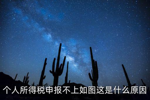 個(gè)稅申報(bào)不成功什么原因，個(gè)人所得稅申報(bào)不上如圖這是什么原因