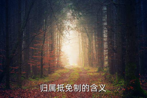 為什么要制定實施稅收抵免制度，歸屬抵免制的含義