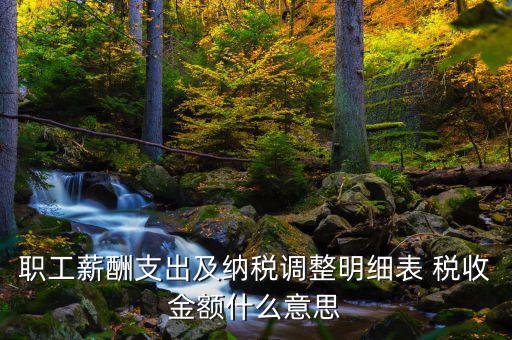 什么是納稅調(diào)整金額，職工薪酬支出及納稅調(diào)整明細(xì)表 稅收金額什么意思