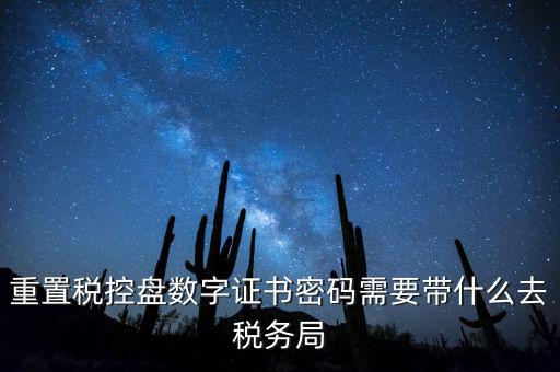 重置稅控盤數(shù)字證書(shū)密碼需要帶什么去稅務(wù)局