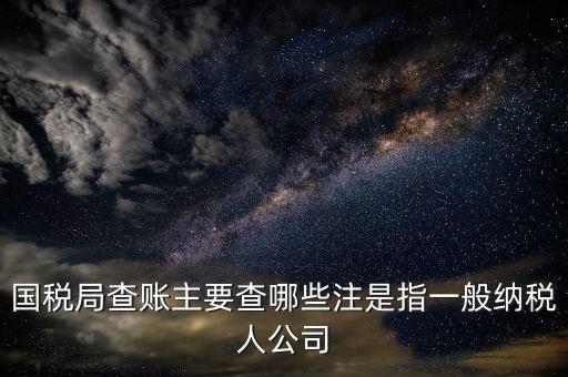一般納稅人國(guó)稅都查什么呀，申請(qǐng)一般納稅人稅務(wù)局要過來看看都看什么