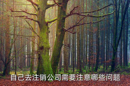 企業(yè)注銷需要注意什么，公司撤銷與注銷有哪些注意事項
