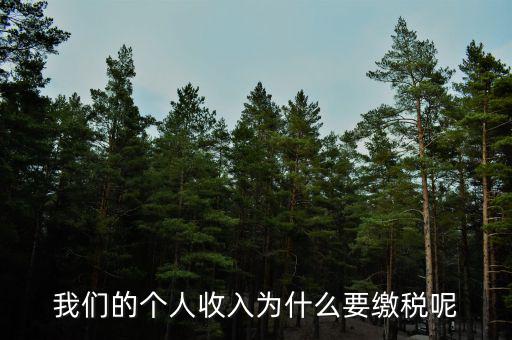 為什么要上個人所得稅，我們的個人收入為什么要繳稅呢