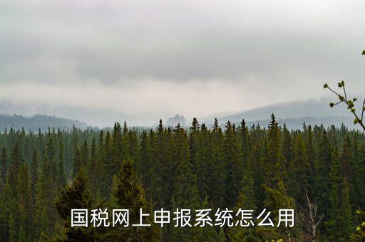 國(guó)稅網(wǎng)絡(luò)預(yù)申請(qǐng)系統(tǒng)是什么，怎么安裝國(guó)稅網(wǎng)上申報(bào)系統(tǒng)