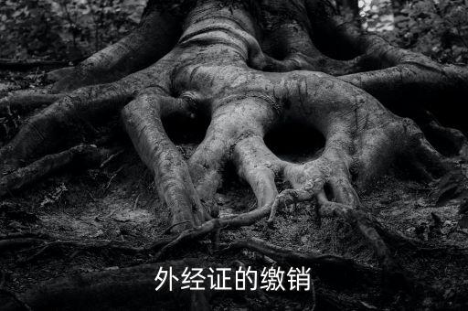 廈門繳銷外經(jīng)證國稅什么資料，廈門國稅需銷項合同是什么