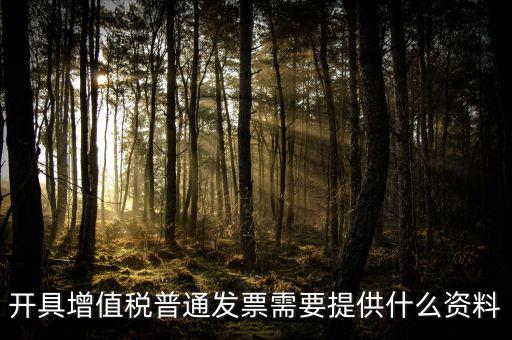 開增值稅提供什么資料，開具增值稅普通發(fā)票需要提供什么資料
