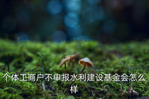 水利基金不報有什么后果，水利建設(shè)基金計稅當月沒報有影響嗎