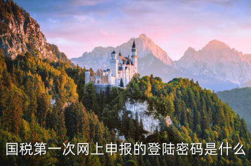 國稅網(wǎng)報口令是什么，國稅第一次網(wǎng)上申報的登陸密碼是什么