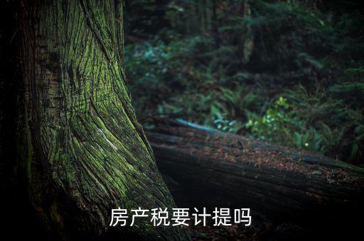 房產(chǎn)稅列入什么費(fèi)用，房產(chǎn)稅要計(jì)提嗎