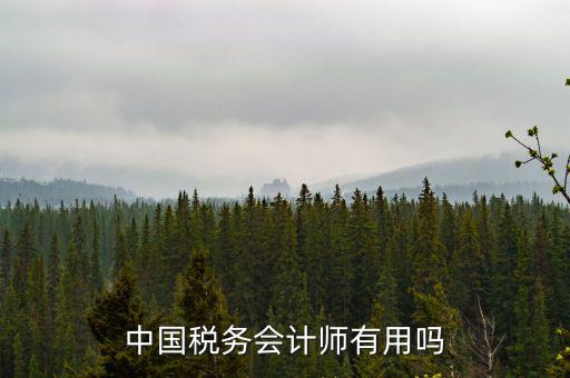 中國稅務(wù)會計(jì)師有用嗎