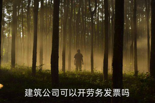 建筑行業(yè)開(kāi)什么發(fā)票，建筑公司可以開(kāi)勞務(wù)發(fā)票嗎