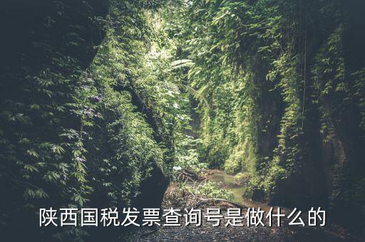 發(fā)票查詢號(hào)是什么，發(fā)票查詢碼是什么 陜西地稅查詢輸入了發(fā)票代碼發(fā)票號(hào)碼后