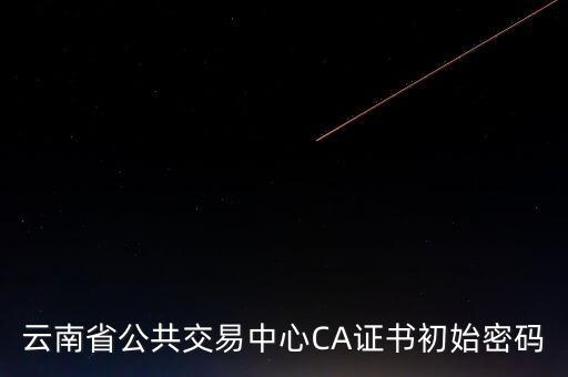 ca原始密碼登錄是什么，蘇州投標(biāo)ca初始密碼