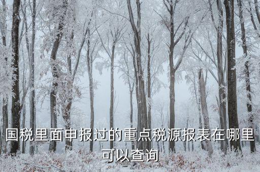 重點(diǎn)稅源預(yù)測(cè)網(wǎng)址是什么，國(guó)稅里面申報(bào)過(guò)的重點(diǎn)稅源報(bào)表在哪里可以查詢