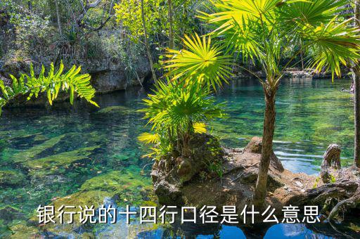 業(yè)務(wù)口徑是什么，銀行說(shuō)的十四行口徑是什么意思