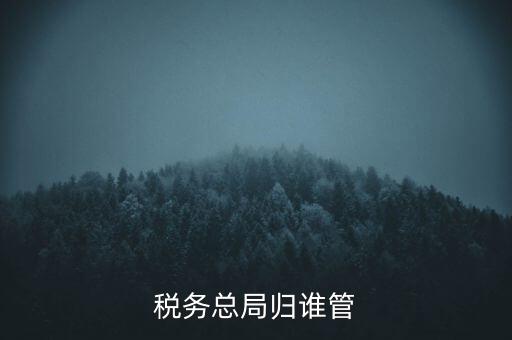 什么部門監(jiān)管國(guó)稅務(wù)局，稅務(wù)局最怕什么部門