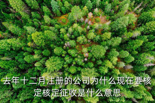 為什么核定征收收據(jù)，查賬征收為什么會(huì)轉(zhuǎn)為核定征收