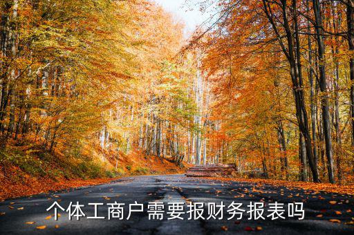 個(gè)體戶都需要申報(bào)什么表，個(gè)體工商戶需要報(bào)財(cái)務(wù)報(bào)表嗎