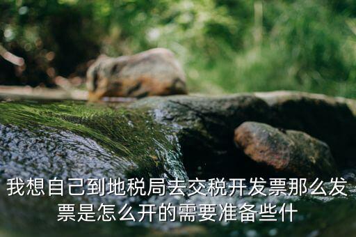 地稅局開票需要什么，到地稅局開發(fā)票需要什么