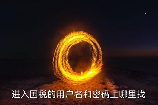 國(guó)稅的用戶名是什么，稅務(wù)用戶名是什么啊