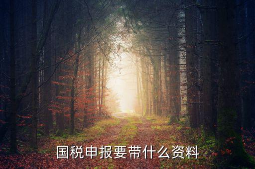 國稅注冊需要什么資料，國稅登記需要帶什么資料