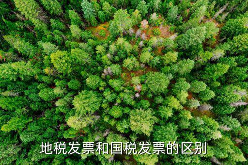 什么是國稅發(fā)票，國稅發(fā)票和增值稅專用發(fā)票的區(qū)別是什么