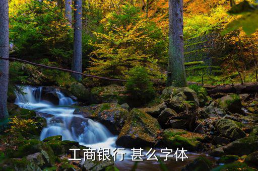 工商銀行用的是什么字體，中國工商銀行的標(biāo)志里面的字母是什么字體
