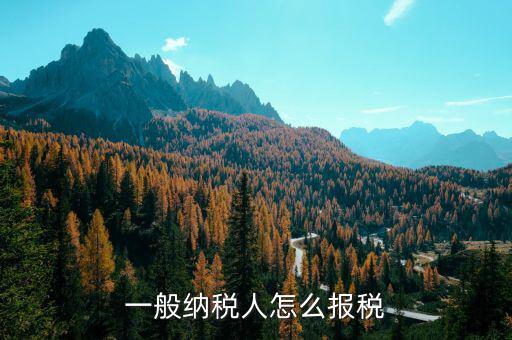 四川一般納稅人用什么申報(bào)國(guó)稅，一般納稅人報(bào)稅的詳細(xì)流程