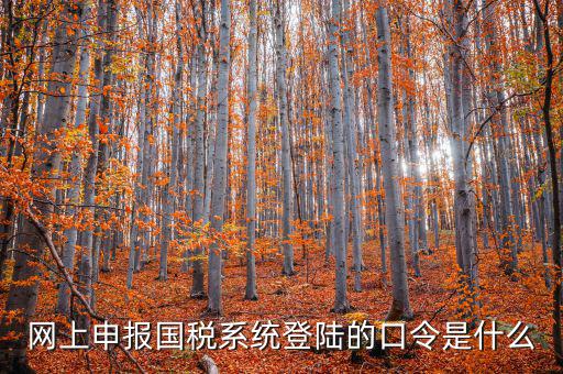 國稅網(wǎng)報(bào)口令是什么意思，網(wǎng)上申報(bào)國稅系統(tǒng)登陸的口令是什么