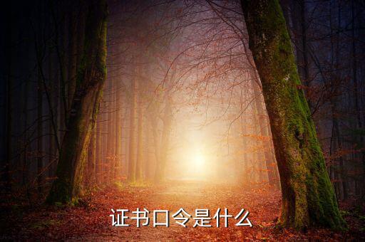 新稅盤證書口令是什么意思，金稅盤口令有什么用