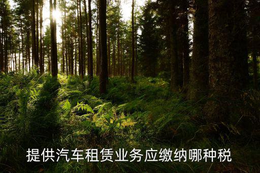 個人出租汽車給公司交什么稅，個人車輛租給公司個稅怎么交