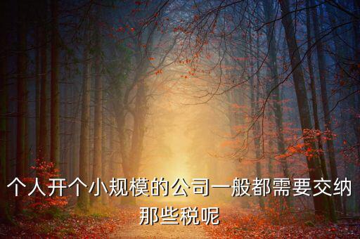 個人開辦水廠需要什么稅，自來水公司的水廠要交房產(chǎn)稅和土地使用稅嗎