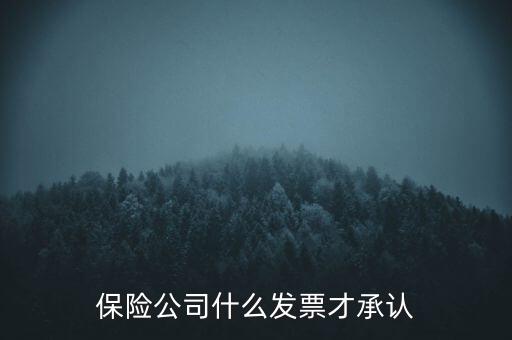 保險公司要什么發(fā)票，保險公司什么發(fā)票才承認