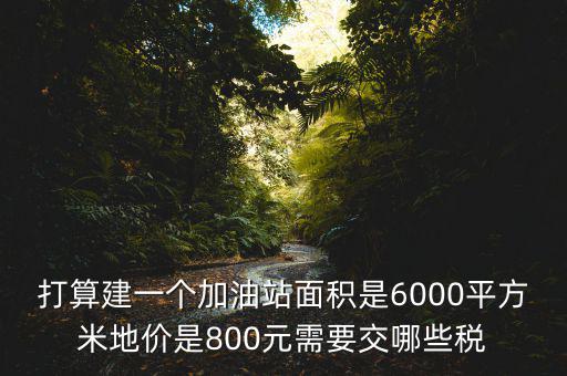 加油站都繳什么稅，打算建一個加油站面積是6000平方米地價是800元需要交哪些稅