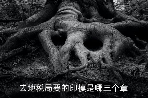 稅務(wù)局原始印模是什么東西，去地稅局要的印模是哪三個(gè)章