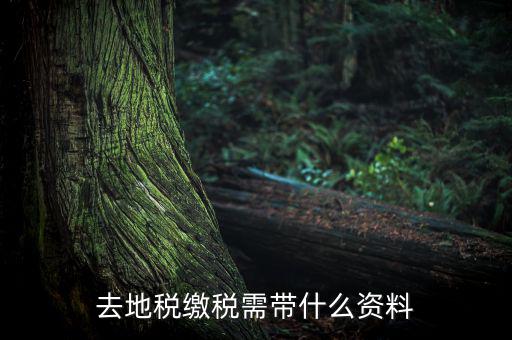 無(wú)錫地稅需要帶什么材料，去地稅繳稅需帶什么資料