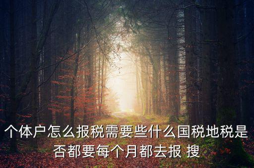 個(gè)體戶報(bào)稅都報(bào)什么，個(gè)體戶怎么報(bào)稅需要些什么國稅地稅是否都要每個(gè)月都去報(bào) 搜