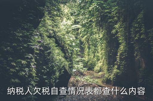 重點(diǎn)納稅人走訪情況表是什么，納稅人自查情況說明表里各項(xiàng)都填什么