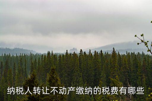 轉(zhuǎn)讓不動(dòng)產(chǎn)交什么稅，納稅人轉(zhuǎn)讓不動(dòng)產(chǎn)繳納的稅費(fèi)有哪些
