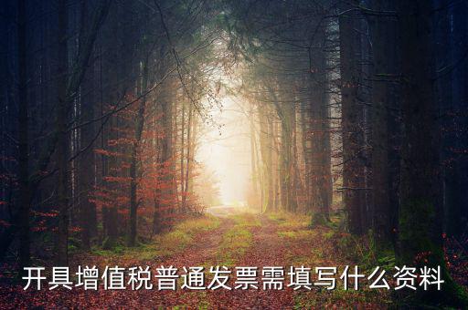 開(kāi)具增值稅普通發(fā)票需填寫什么資料