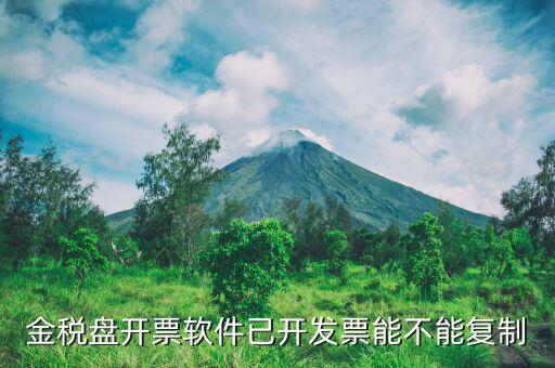 什么發(fā)票能進行復(fù)制發(fā)票操作，如何將Excel中制作的發(fā)票專業(yè)發(fā)票復(fù)制到Word文檔中并且格式