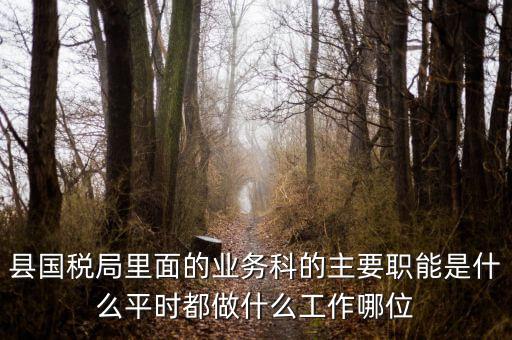 什么是稅政工作，縣國稅局里面的業(yè)務(wù)科的主要職能是什么平時都做什么工作哪位