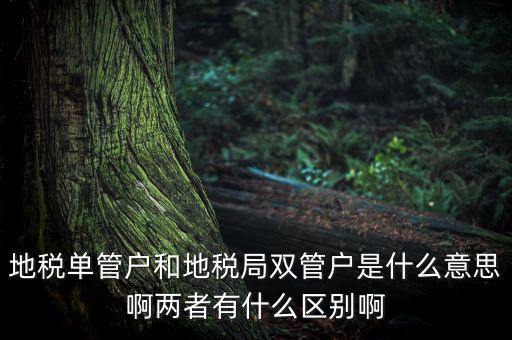 單管戶什么意思，地稅單管戶除了飲食行業(yè)外還有哪幾個(gè)行業(yè)