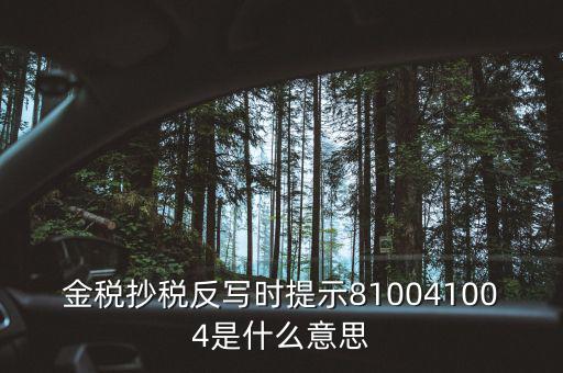 抄稅反寫是什么意思，金稅抄稅反寫時(shí)提示810041004是什么意思