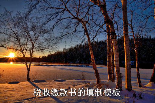 稅收繳款書字軌是什么，什么是文書字軌
