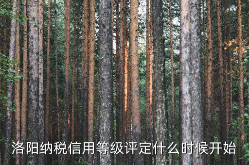 16年納稅信用什么時候評，納稅信用等級評定標準除了2003年的文件有沒有出臺新的文件呢